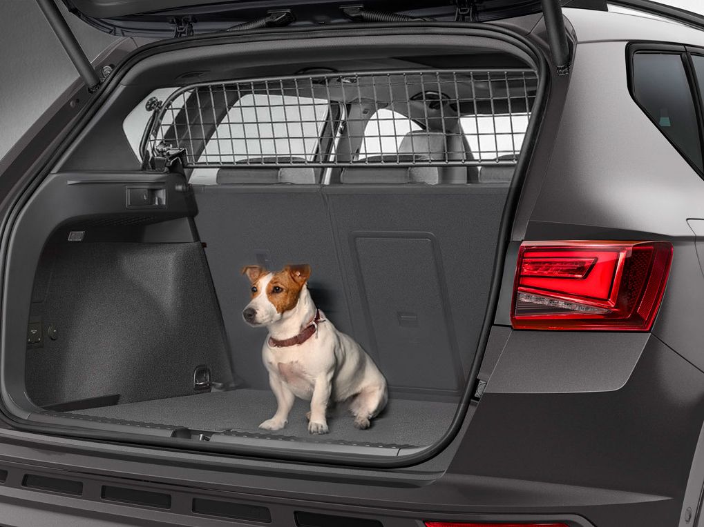 Ein kleiner Hund sitzt im geöffneten Kofferraum eines CUPRA. Der Kofferrraum ist vom Fahrgastraum durch ein CUPRA Trenngitter getrennt.