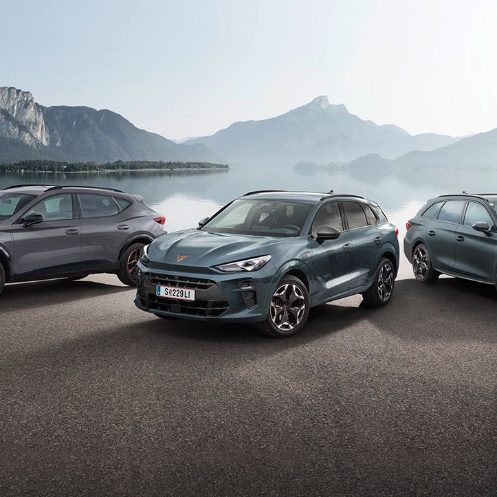 Der CUPRA Terramar, Leon Kombi und Formentor als Plug-in-Hybrid.